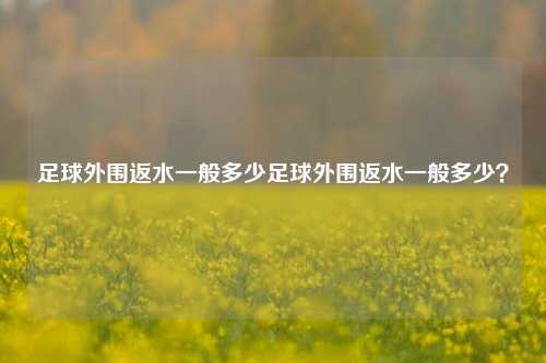 足球外围返水一般多少足球外围返水一般多少？