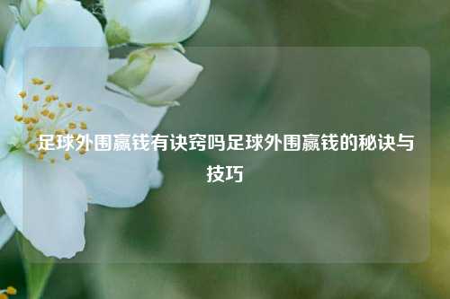 足球外围赢钱有诀窍吗足球外围赢钱的秘诀与技巧