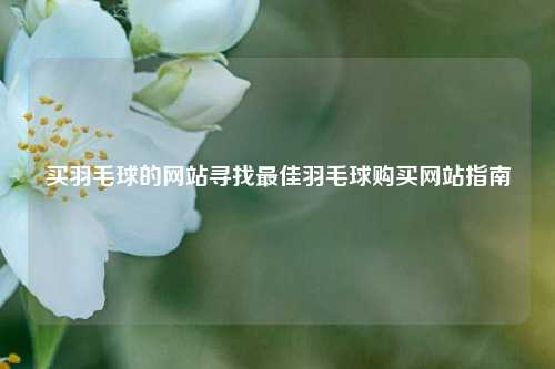 买羽毛球的网站寻找最佳羽毛球购买网站指南