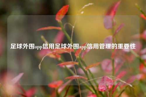 足球外围app信用足球外围app信用管理的重要性