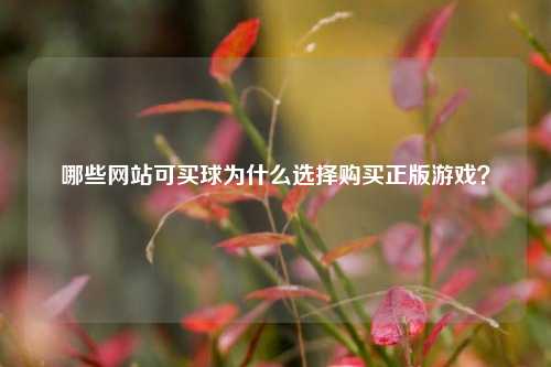 哪些网站可买球为什么选择购买正版游戏？