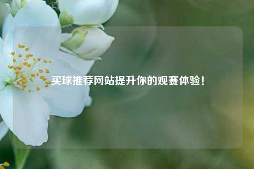 买球推荐网站提升你的观赛体验！