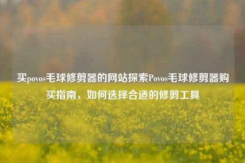 买povos毛球修剪器的网站探索Povos毛球修剪器购买指南，如何选择合适的修剪工具