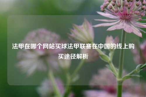 法甲在哪个网站买球法甲联赛在中国的线上购买途径解析