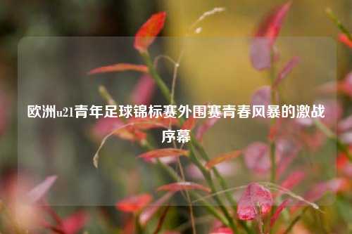 欧洲u21青年足球锦标赛外围赛青春风暴的激战序幕