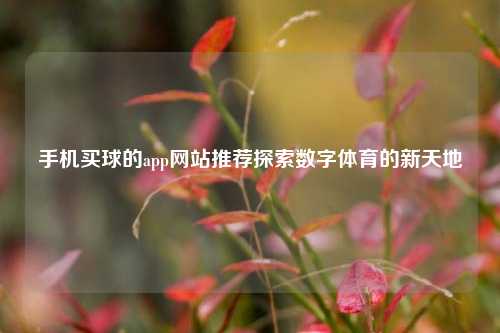 手机买球的app网站推荐探索数字体育的新天地