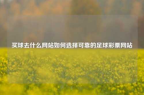 买球去什么网站如何选择可靠的足球彩票网站