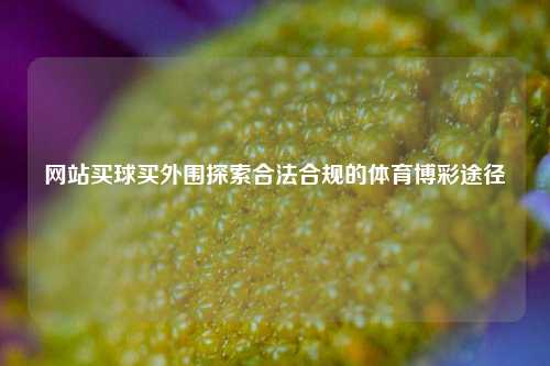 网站买球买外围探索合法合规的体育博彩途径