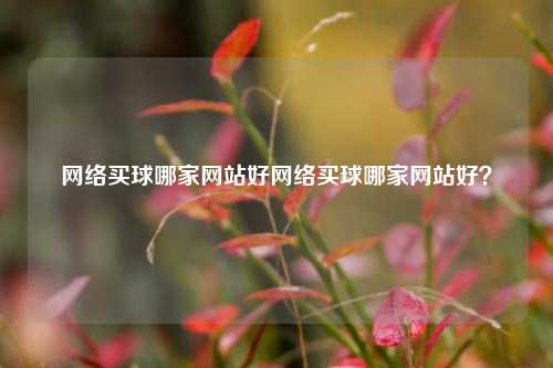 网络买球哪家网站好网络买球哪家网站好？