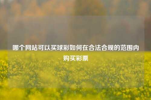 哪个网站可以买球彩如何在合法合规的范围内购买彩票
