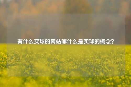 有什么买球的网站嘛什么是买球的概念？
