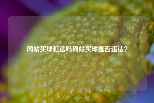 网站买球犯法吗网站买球是否违法？