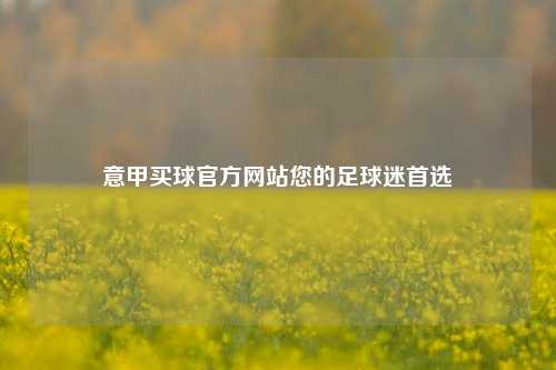 意甲买球官方网站您的足球迷首选
