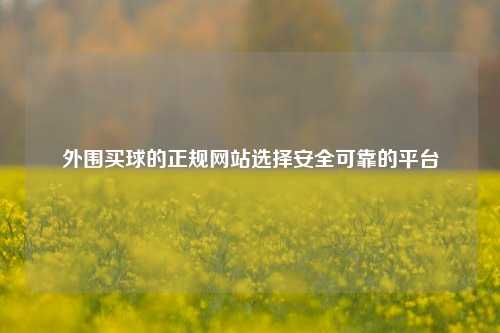 外围买球的正规网站选择安全可靠的平台